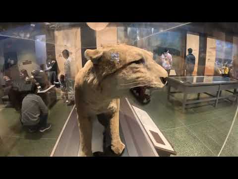 Uncover Hidden Wonders of Museum of Science 🚨🔭