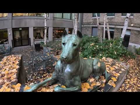 Inside the MFA Courtyard - One of the Most Peaceful and Enjoyable Spots In Boston - 4K 🖼️🎨👩🏻‍🎨👩🏽‍🎨