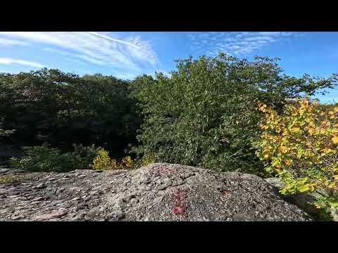 Boston Walking Tour Franklin Park 4K- Vlog Living in Boston You can Have this view all the time