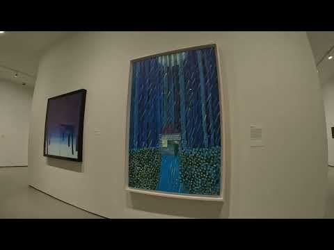 Matthew Wong #mfa #boston 4K - WOW - Incredible #artmuseum Experience the #art creates new legend