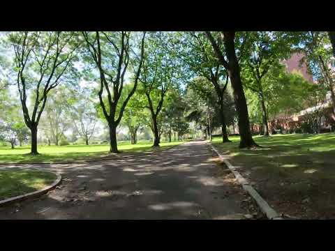 JFK Memorial Park #harvard 4K #bikeride A TOUR of the Park on Bike Great View of Entire Area #parks