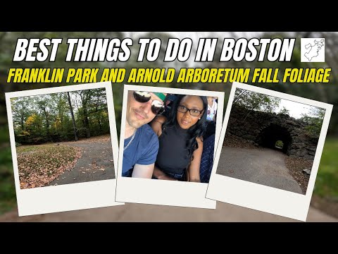 Best Things To Do In Boston - 4K Franklin Park - Arnold Arboretum - JustUsBoston.com 🌎🚵🏼🚶🏽‍♀️🌷🌳🌲