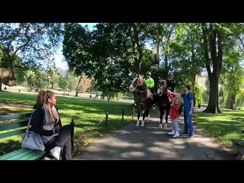 Boston 4K Walking Tour: How To Spend An Hour? Pet The Ranger HORSE in Boston Public Garden🐎🚶🏼‍♂️