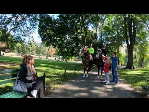 Boston 4K Walking Tour: How To Spend An Hour? Pet The Ranger HORSE in Boston Public Garden🐎🚶🏼‍♂️
