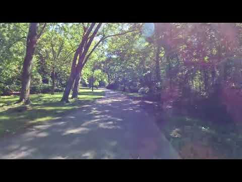 #boston #bostonrealestate Walking Inside Franklin Park - JP Jamaica Plain Roxbury Boston Mass