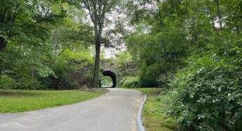 Franklin Park Concerts